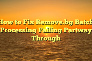 How to Fix Remove.bg Batch Processing Failing Partway Through